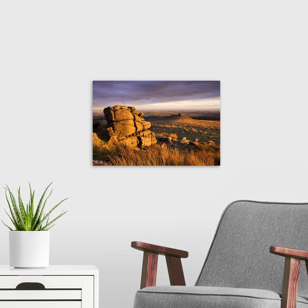 A modern room featuring Golden sunshine glows against the granite outcrops at Belstone Tor, Dartmoor National Park, Devon...