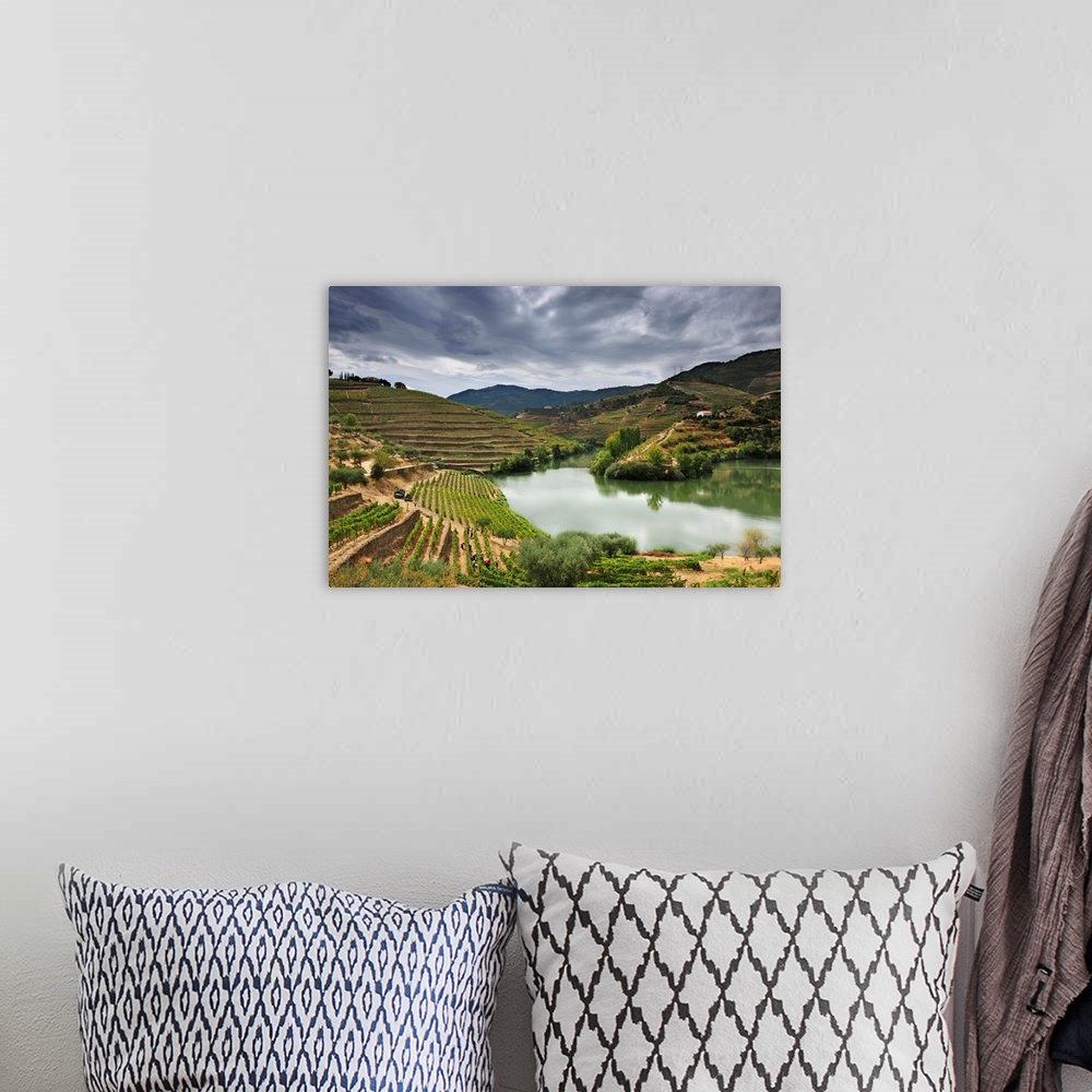 A bohemian room featuring Grapes harvest along the river Tedo, a tributary of the river Douro. Alto Douro, a Unesco World H...