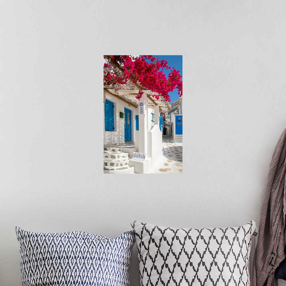 A bohemian room featuring Europe, Greece, Cyklades, Mykonos, part of the Cyclades island group in the Aegean Sea, street in...