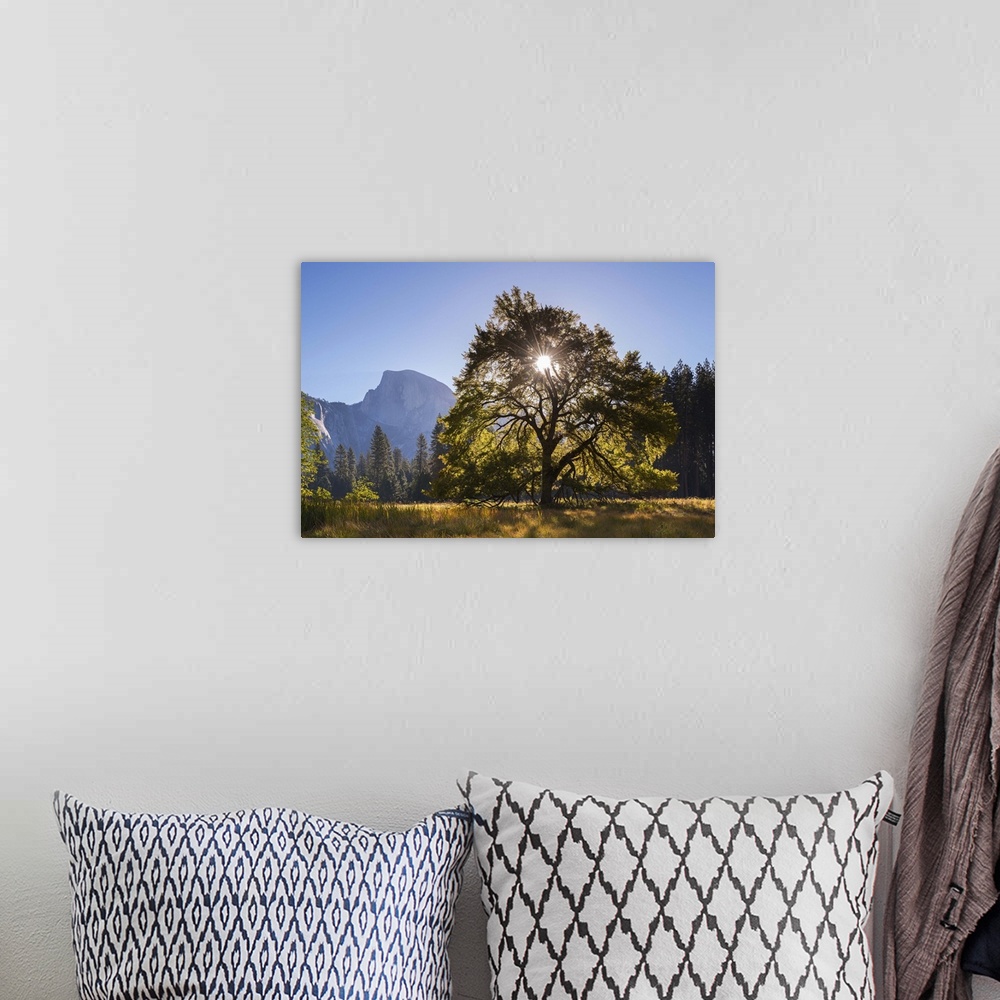 A bohemian room featuring Half Dome and Elm tree in Cooks Meadow, Yosemite Valley, California, USA. Autumn (October)