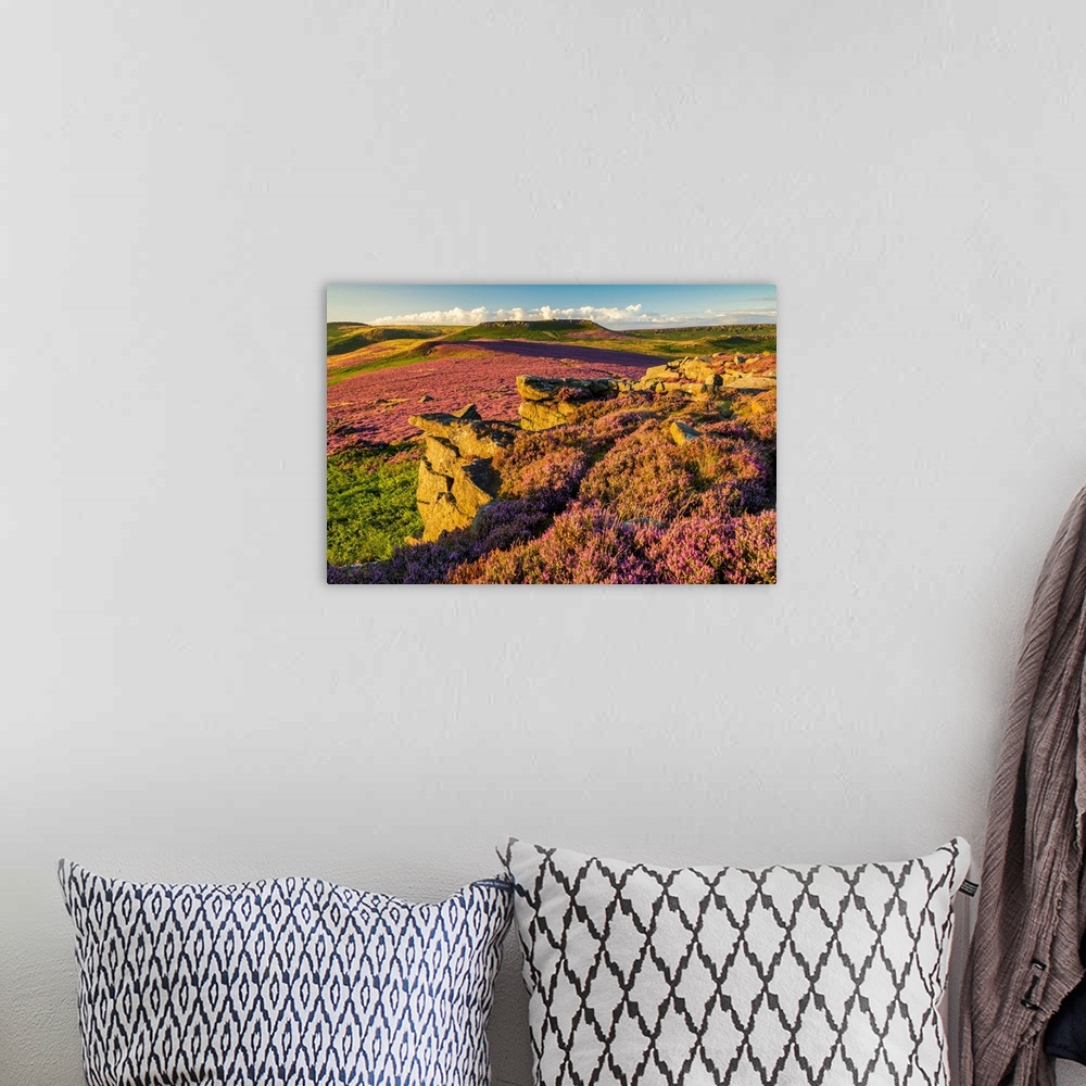 A bohemian room featuring Heather In Bloom On Owler Tor, Peak District National Park, Derbyshire, England