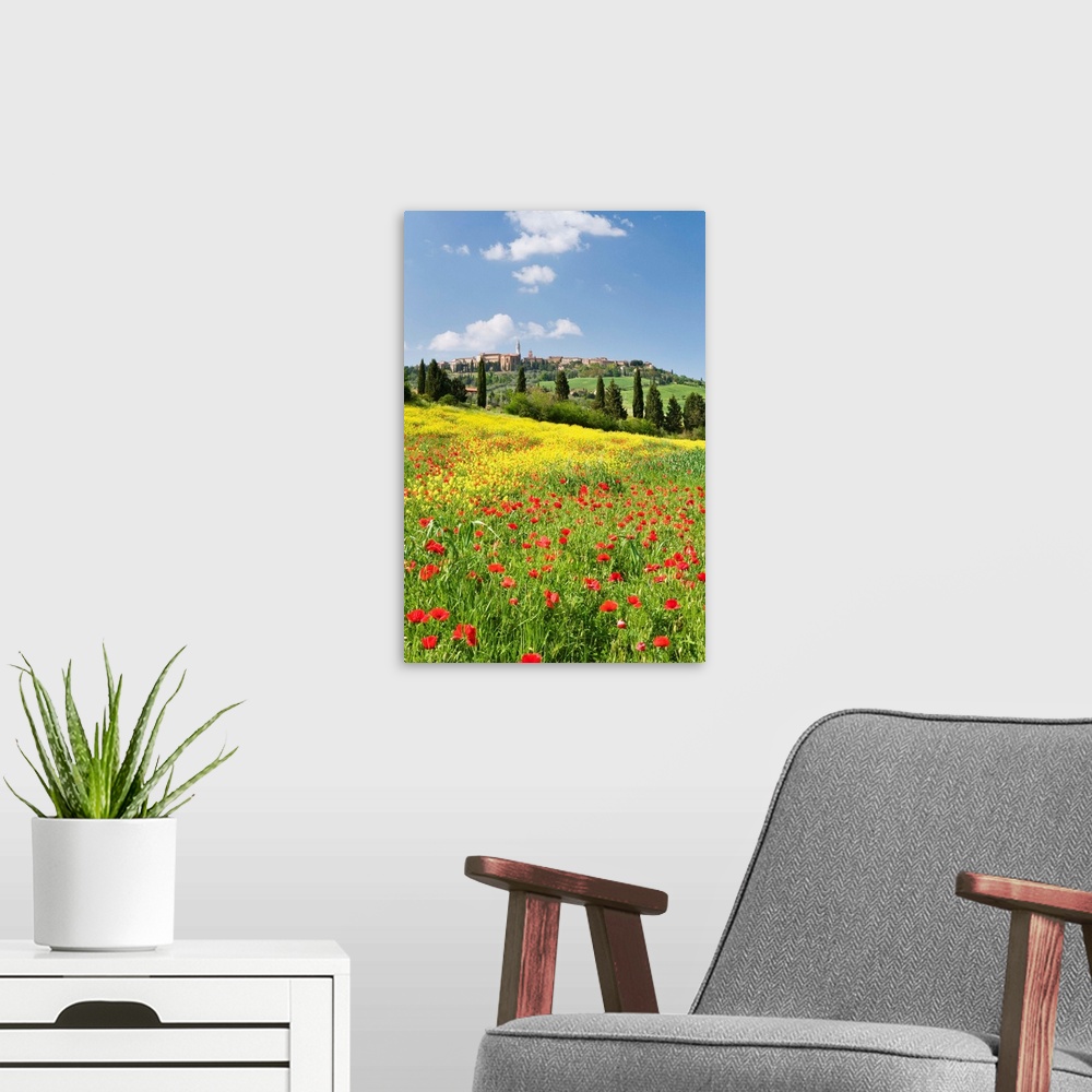 A modern room featuring Hill town Pienza and field of poppies, Tuscany, Italy