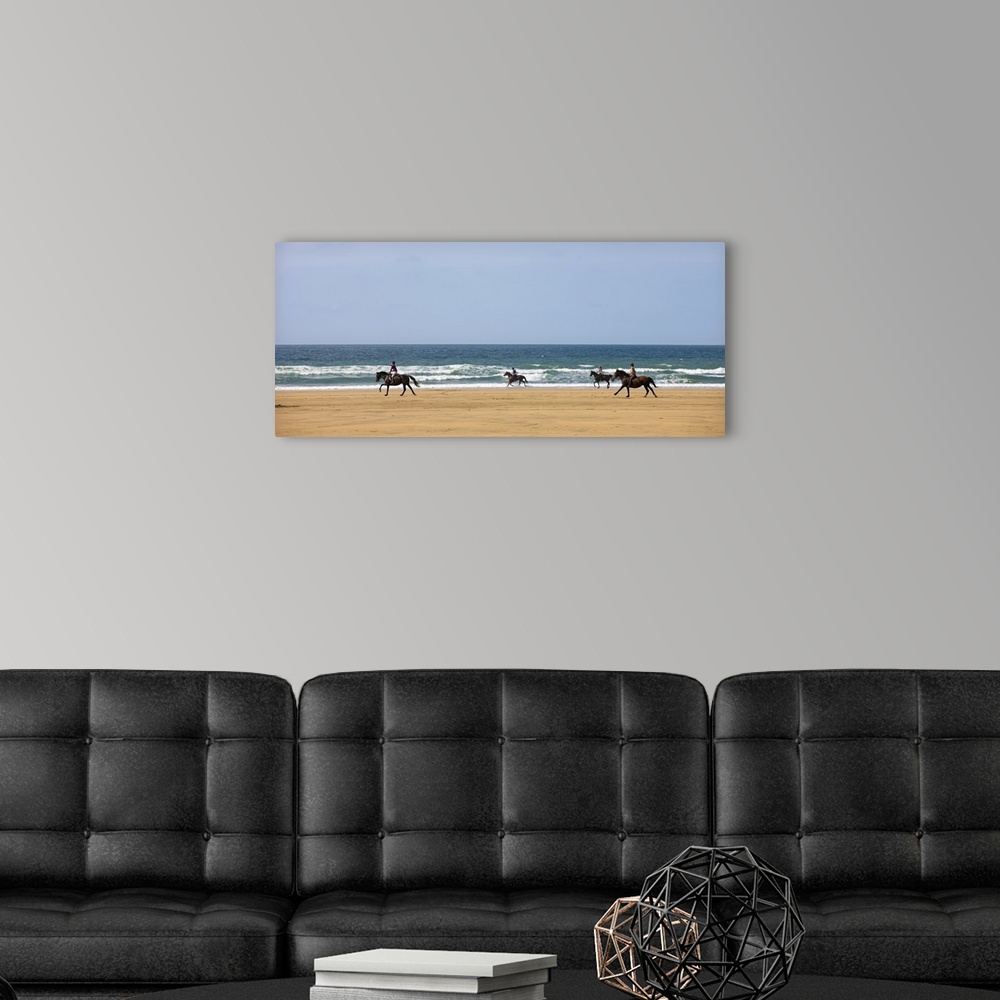 A modern room featuring Horse riders galloping down sandy Cornish beach on a summer's day, Sandymouth, Cornwall, England....