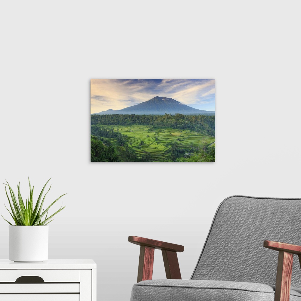 A modern room featuring Indonesia, Bali, Redang, View of Rice Terraces and Gunung Agung Volcano