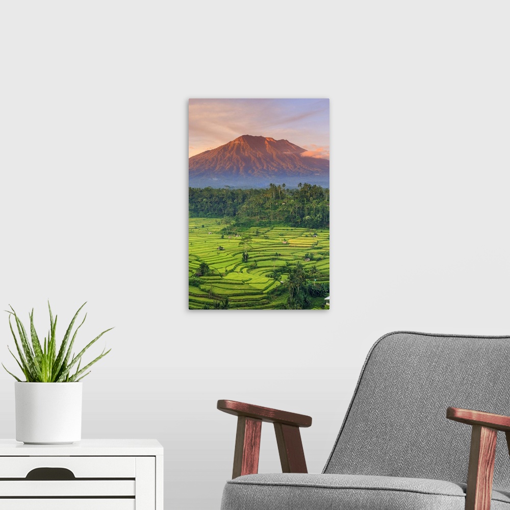 A modern room featuring Indonesia, Bali, Redang, View of Rice Terraces and Gunung Agung Volcano