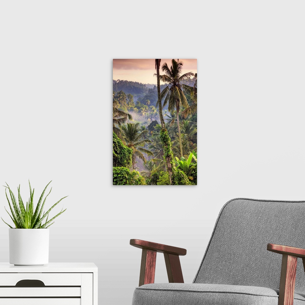 A modern room featuring Indonesia, Bali, Ubud, Landscape around the Campuhan Ridge Walk