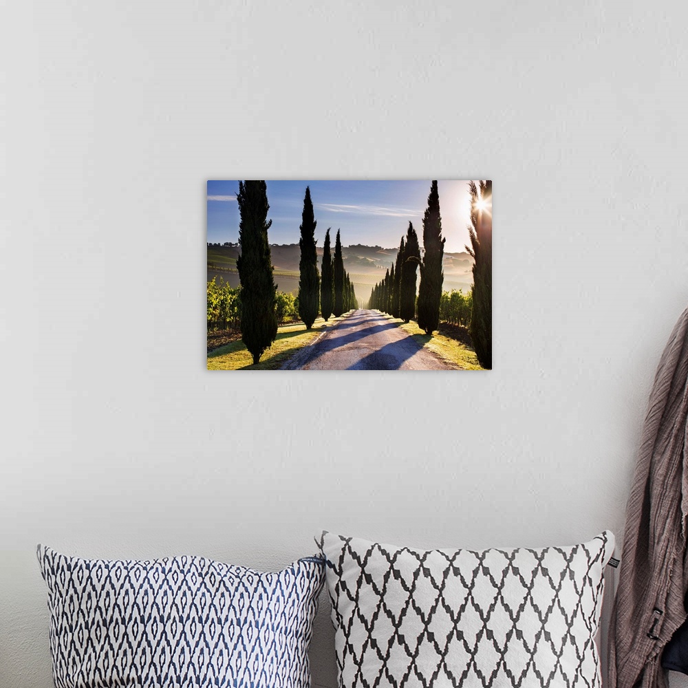 A bohemian room featuring Italy, Marche, Macerata District, Urbisglia, Typical Marche Landscape Near Urbisaglia.