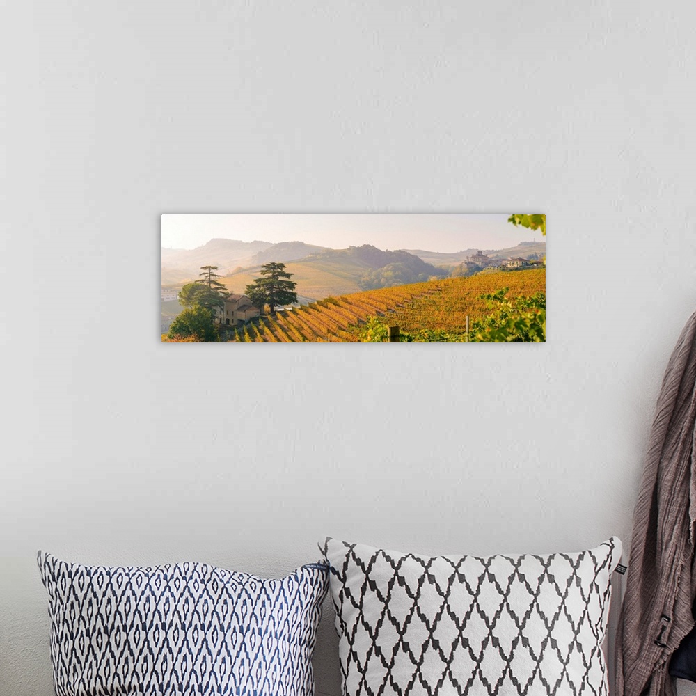 A bohemian room featuring Italy, Piedmont, Cuneo District, Barolo, Langhe Barolo At Sunrise