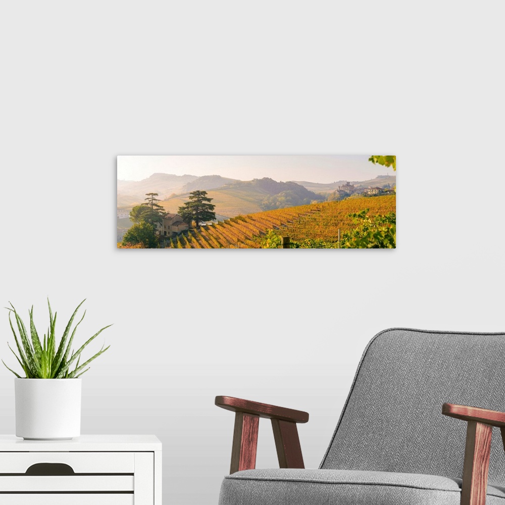 A modern room featuring Italy, Piedmont, Cuneo District, Barolo, Langhe Barolo At Sunrise
