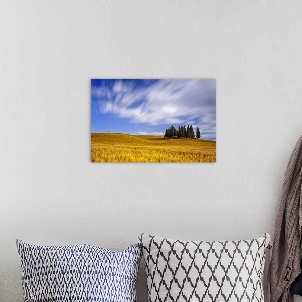 A bohemian room featuring Italy, Tuscany, Siena district, Orcia Valley, Cypress on the hill near San Quirico d'Orcia