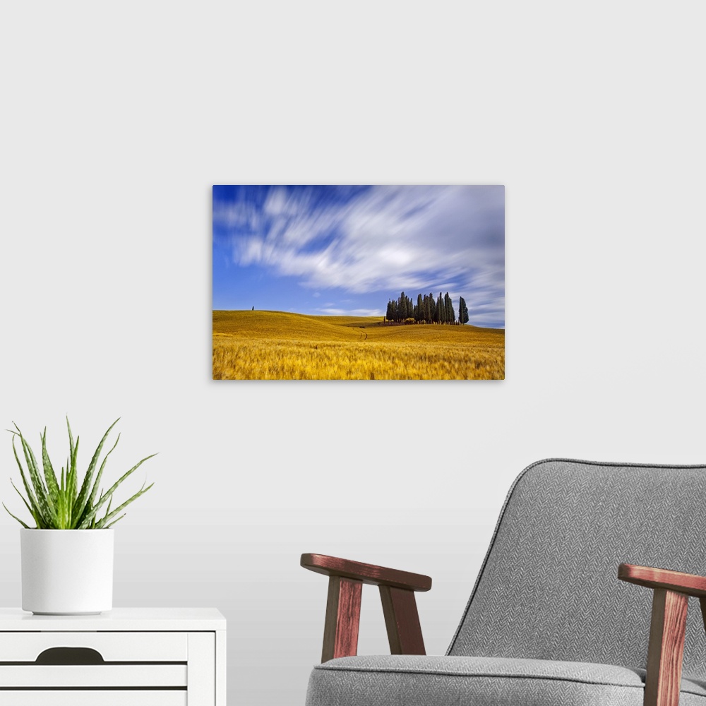 A modern room featuring Italy, Tuscany, Siena district, Orcia Valley, Cypress on the hill near San Quirico d'Orcia