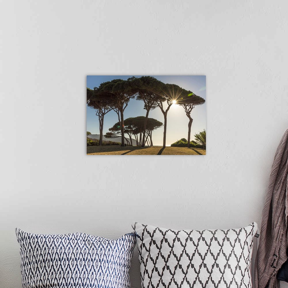 A bohemian room featuring Italy, Tuscany, the beach at Golfo di Baratti at sunset