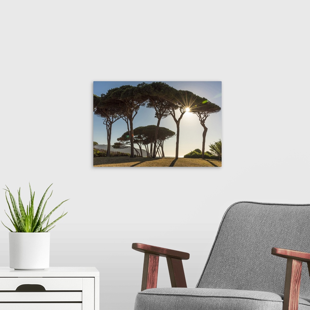 A modern room featuring Italy, Tuscany, the beach at Golfo di Baratti at sunset