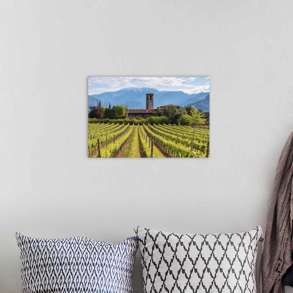 A bohemian room featuring Europe, Italy, vineyards in Franciacorta, province of Brescia.