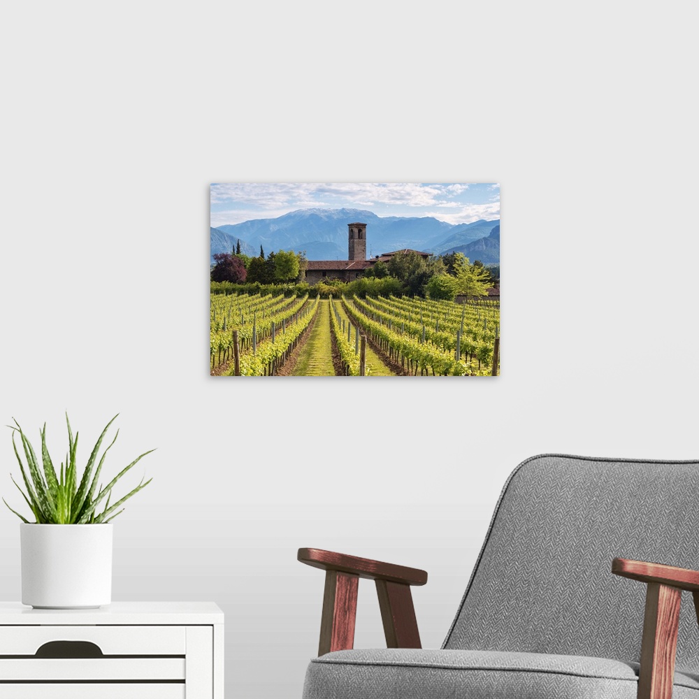 A modern room featuring Europe, Italy, vineyards in Franciacorta, province of Brescia.