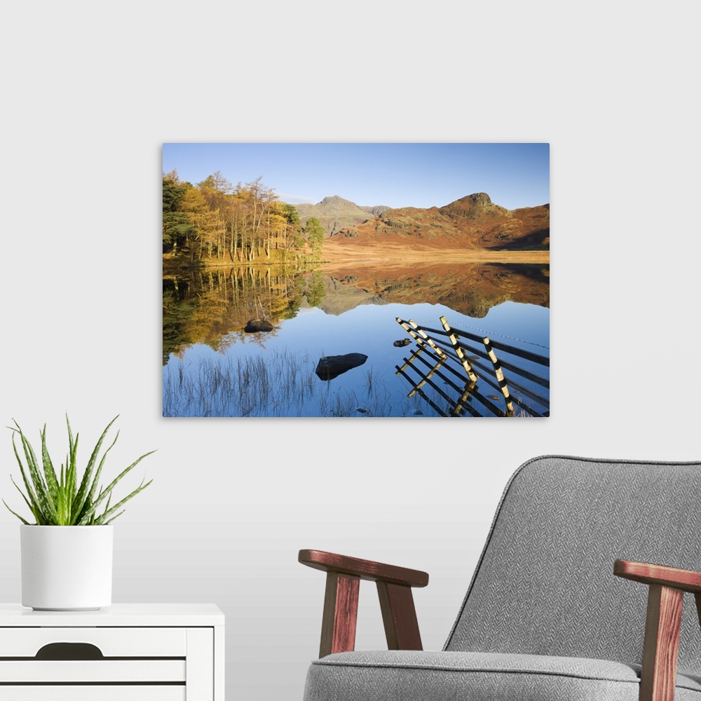 A modern room featuring Langdale Pikes reflected in a mirror-like Blea Tarn in the early morning, Lake District National ...