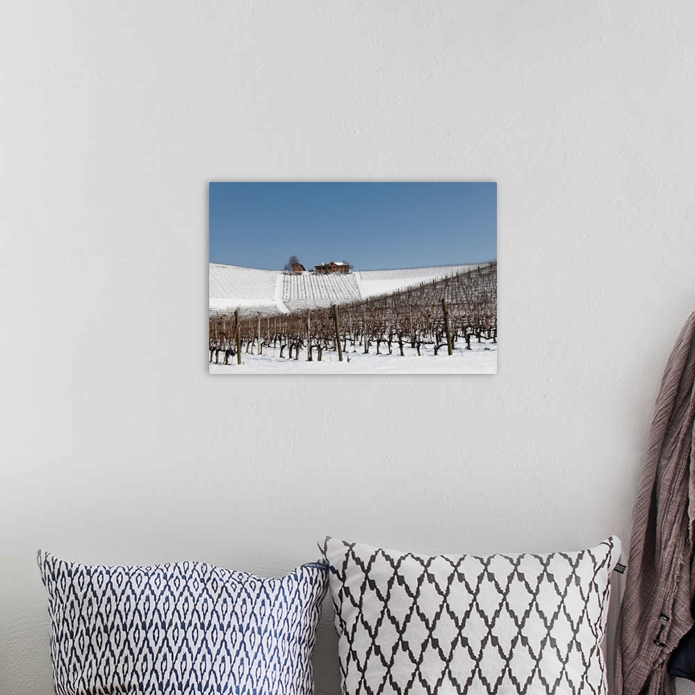 A bohemian room featuring Langhe, Cuneo District, Piedmont, Italy. Langhe Wine Region Winter Snow, Fontanafredda