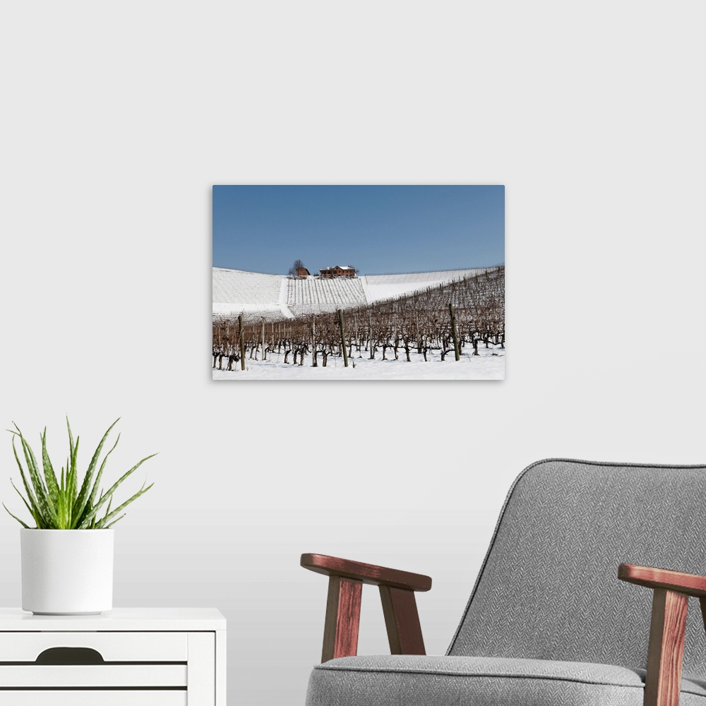 A modern room featuring Langhe, Cuneo District, Piedmont, Italy. Langhe Wine Region Winter Snow, Fontanafredda