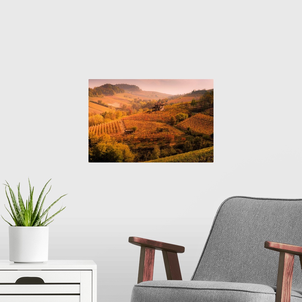 A modern room featuring Langhe, Piedmont, Italy. Autumn Landscape With Vineyards And Hills.