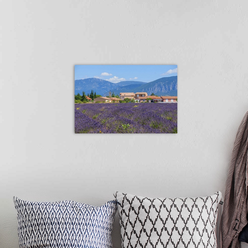 A bohemian room featuring Lavender field with Puimoisson, Provence-Alpes-Cote d'Azur, France