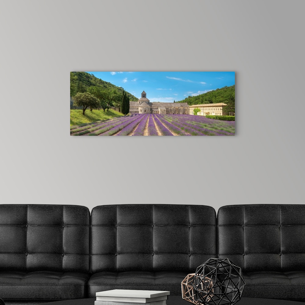 A modern room featuring Lavender fields in full bloom in early July in front of Abbaye de Senanque Abbey, Vaucluse, Prove...