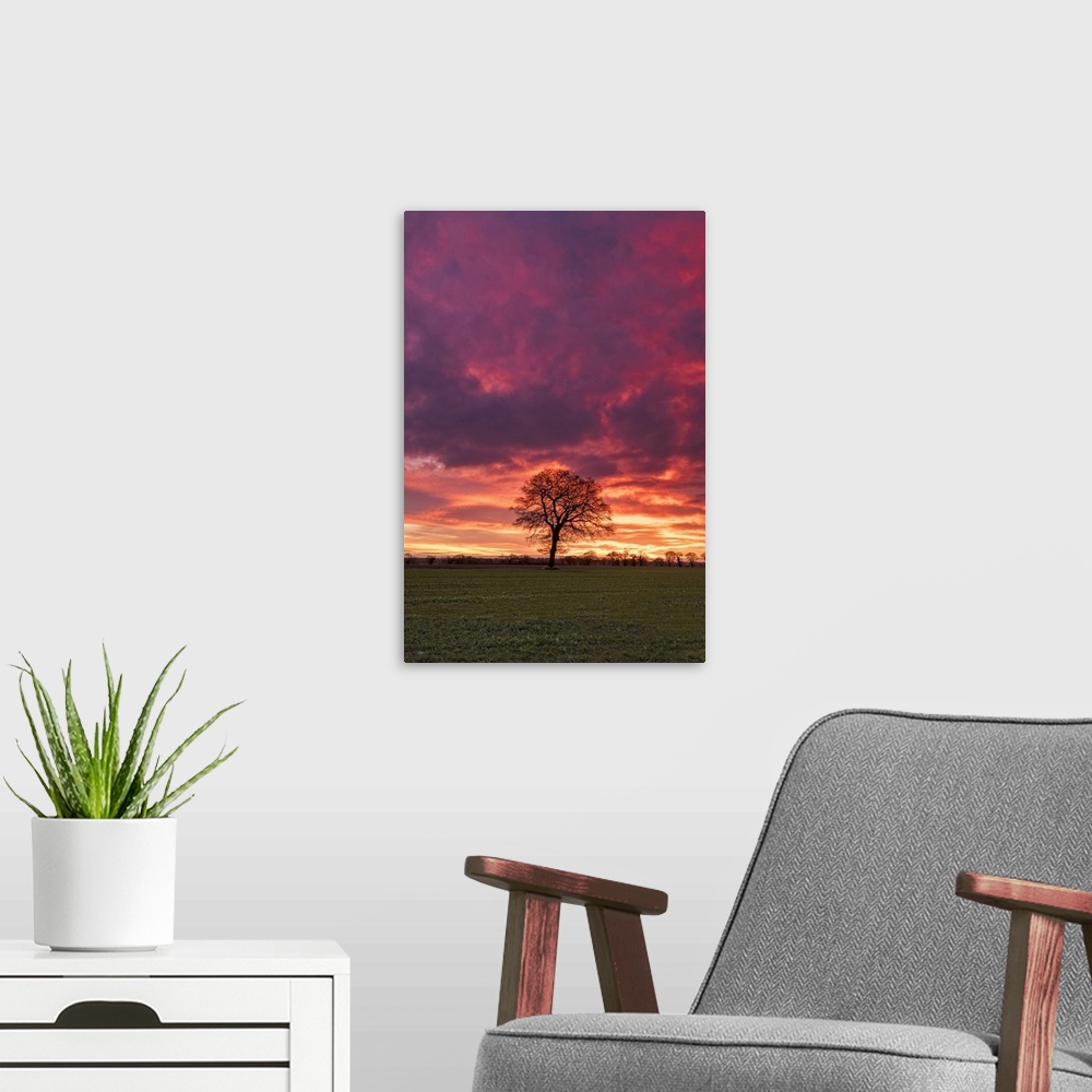 A modern room featuring Lone Tree at Sunrise, Norfolk, England