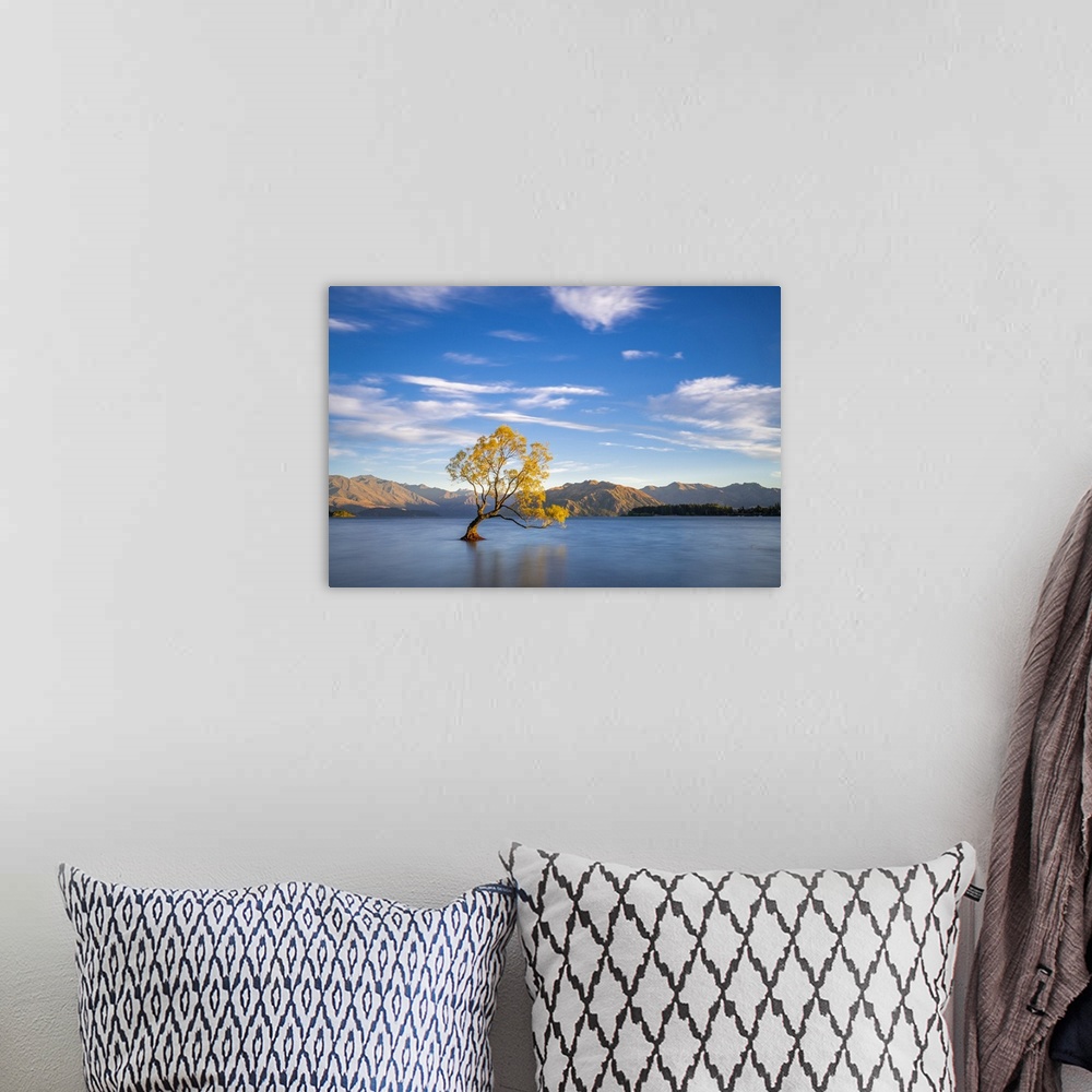 A bohemian room featuring Lone tree in Roys Bay on Wanaka Lake against sky during sunrise, Wanaka, Queenstown-lakes Distric...