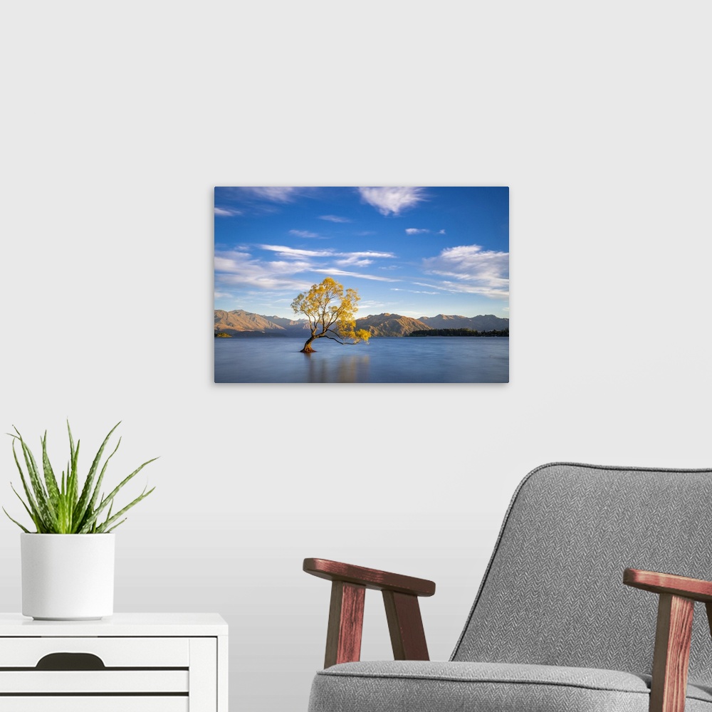 A modern room featuring Lone tree in Roys Bay on Wanaka Lake against sky during sunrise, Wanaka, Queenstown-lakes Distric...