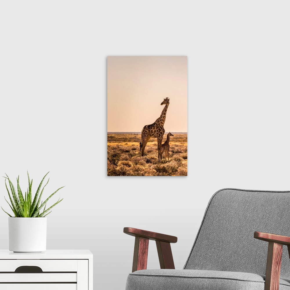 A modern room featuring Lonely Giraffe with baby in Etosha, Namibia, Africa
