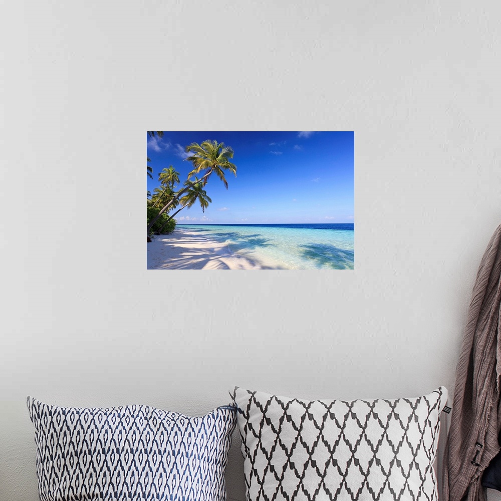 A bohemian room featuring Large photo art of palm trees leaning towards the ocean.