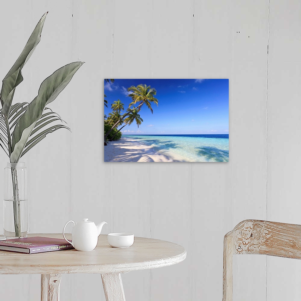 A farmhouse room featuring Large photo art of palm trees leaning towards the ocean.
