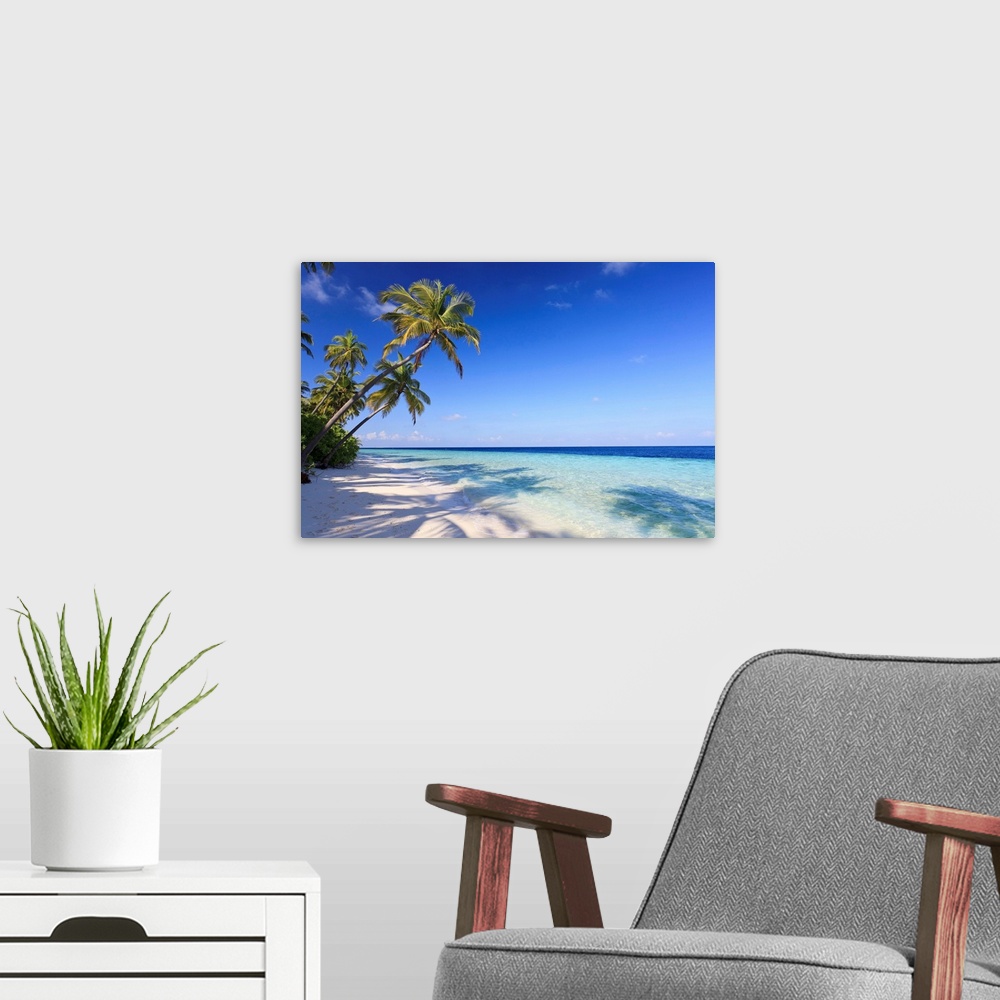 A modern room featuring Large photo art of palm trees leaning towards the ocean.