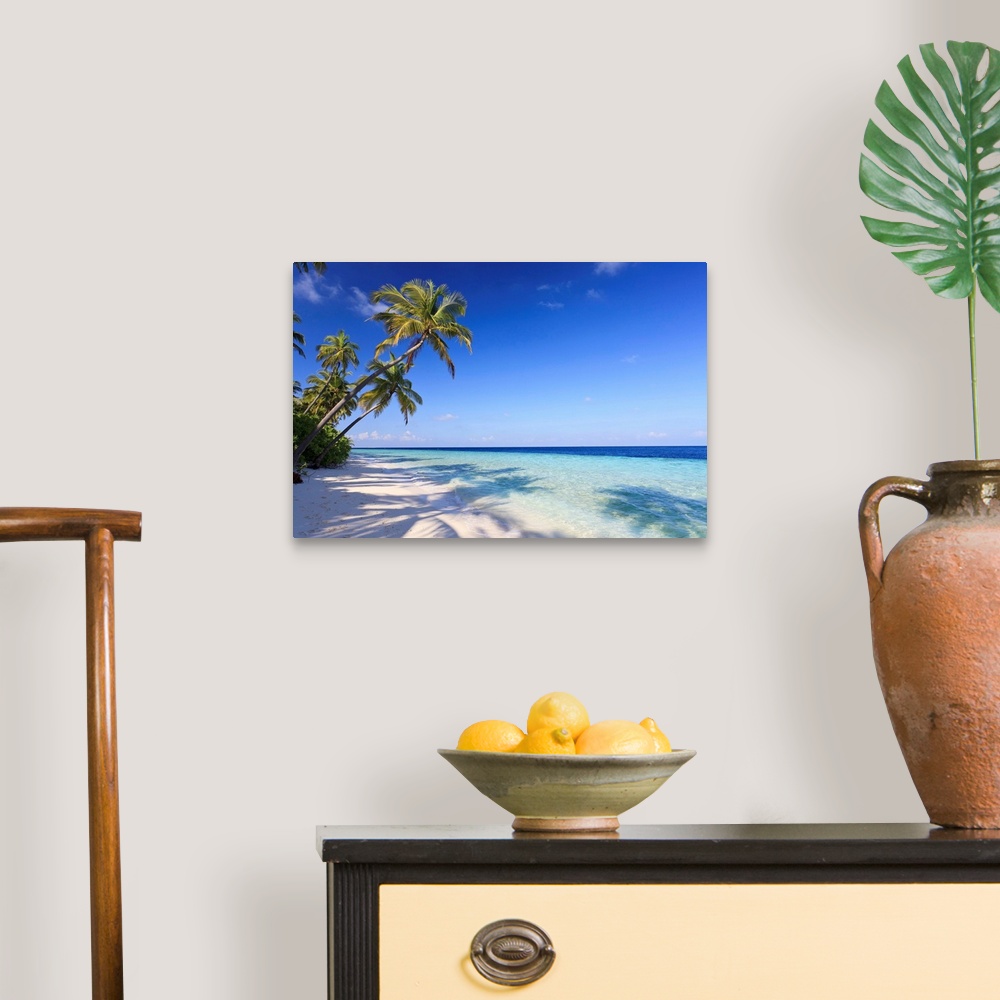A traditional room featuring Large photo art of palm trees leaning towards the ocean.