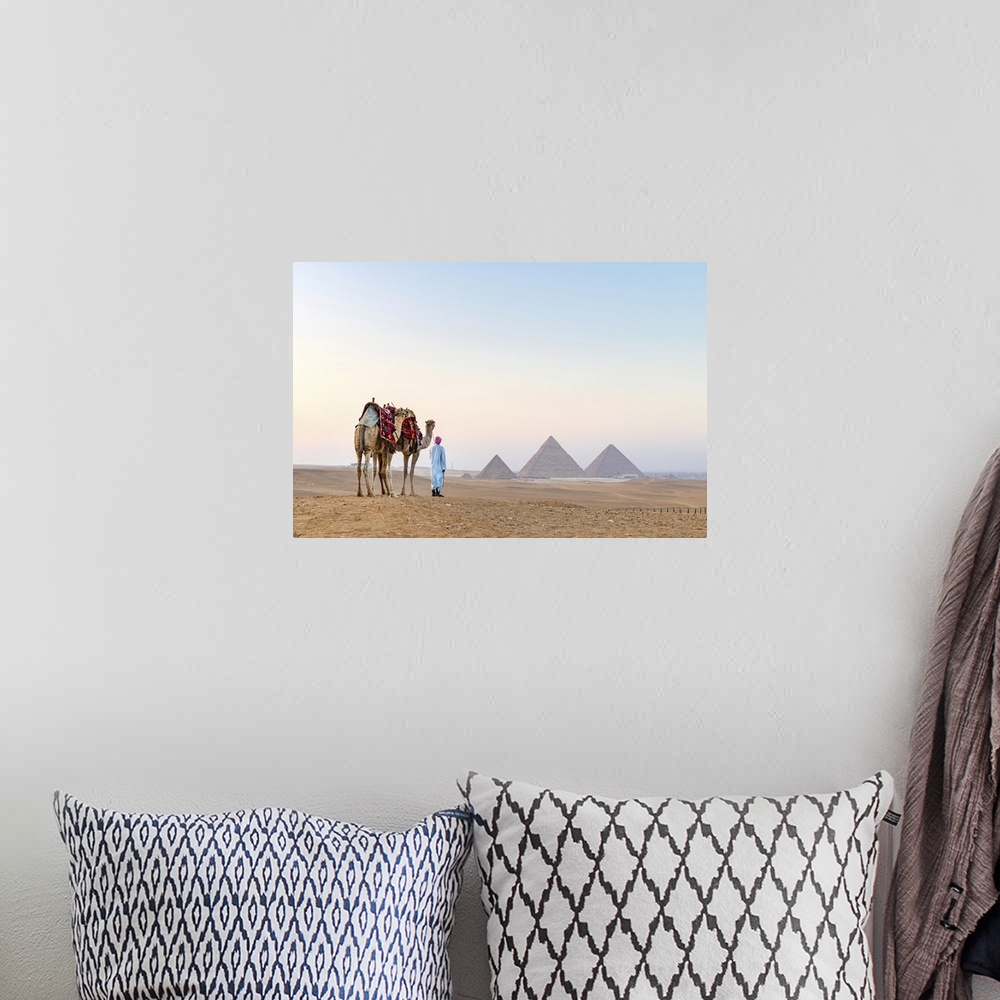 A bohemian room featuring Man and his camels at the Pyramids of Giza, Giza, Cairo, Egypt
