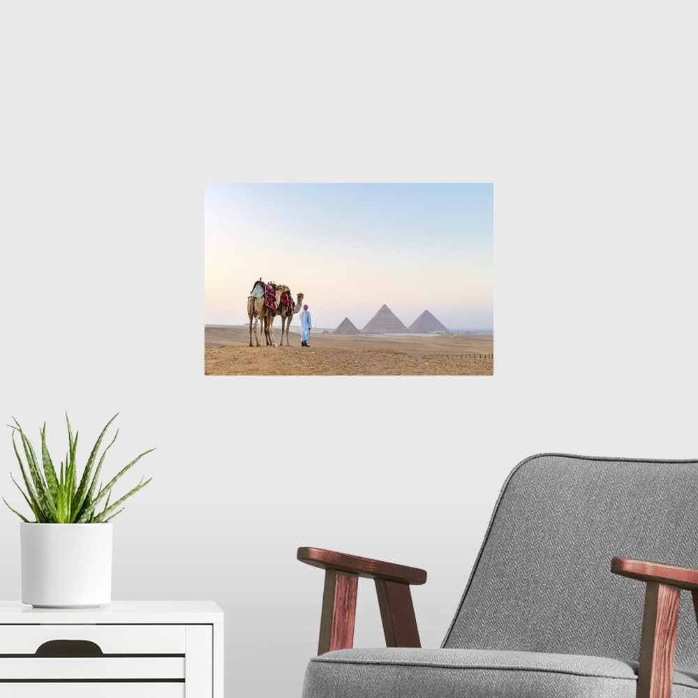 A modern room featuring Man and his camels at the Pyramids of Giza, Giza, Cairo, Egypt