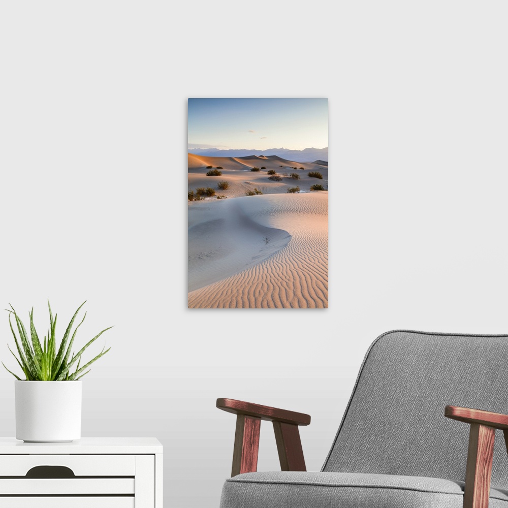 A modern room featuring Mesquite Flat Sand Dunes, Death valley National park, California, USA
