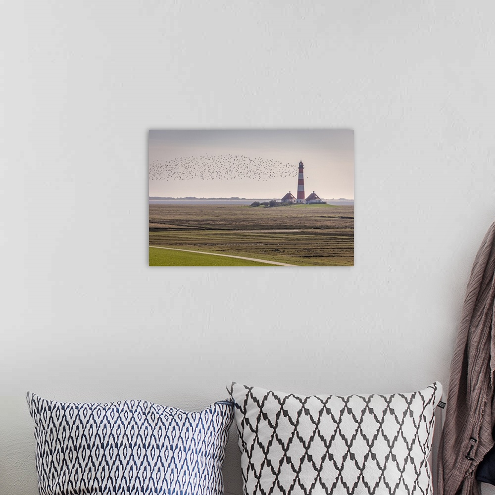 A bohemian room featuring Migratory birds at the Westerheversand lighthouse, North Friesland, Schleswig-Holstein.