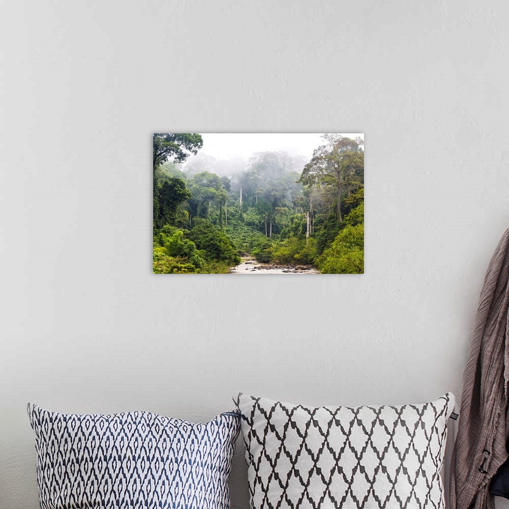 A bohemian room featuring Mist and river through tropical rainforest, Sabah, Borneo, Malaysia.
