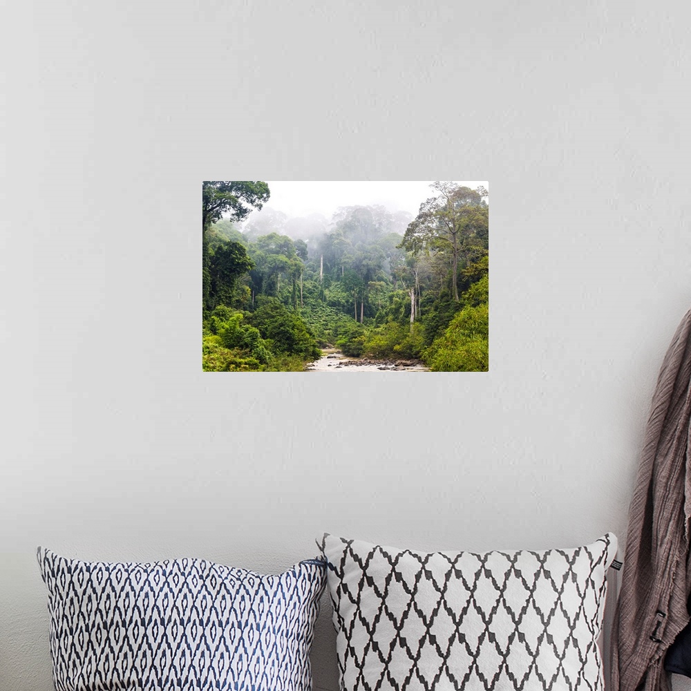 A bohemian room featuring Mist and river through tropical rainforest, Sabah, Borneo, Malaysia.