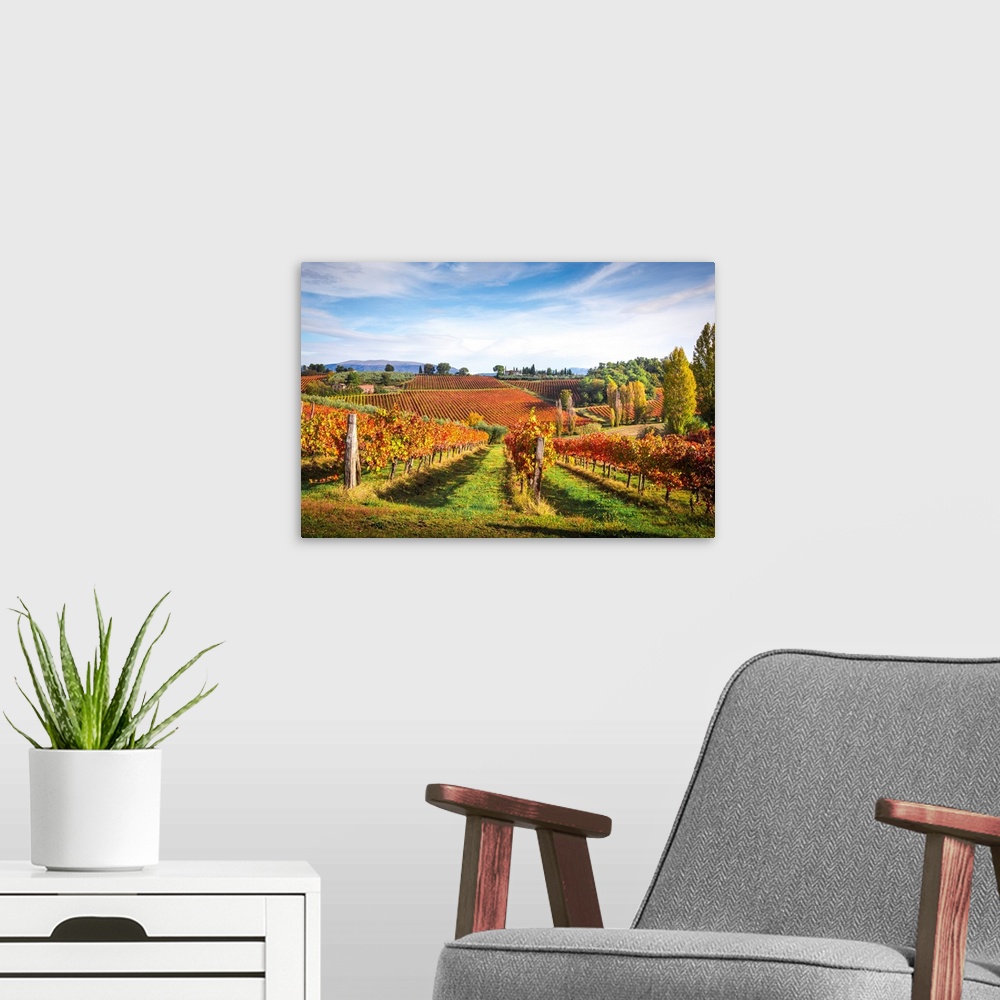A modern room featuring Montefalco Sagrantino Vineyards, Montefalco, Perugia Province, Umbria, Italy.