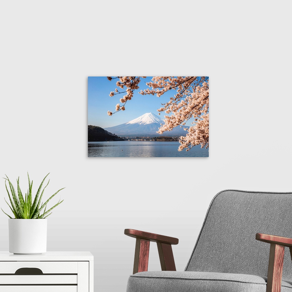 A modern room featuring Mount Fuji in springtime with cherry tree in full bloom, Fuji Five Lakes, Japan.