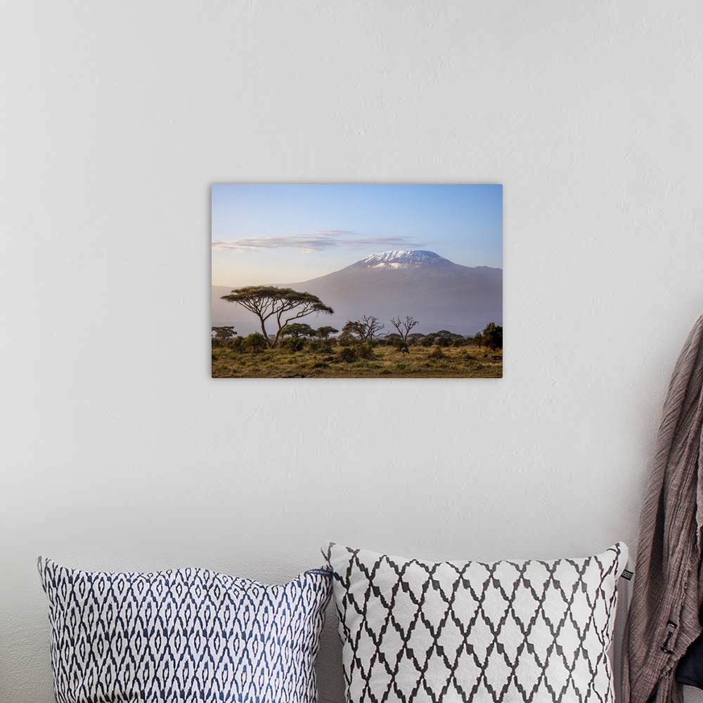 A bohemian room featuring Mount Kilimanjaro, Amboseli National Park, Kenya