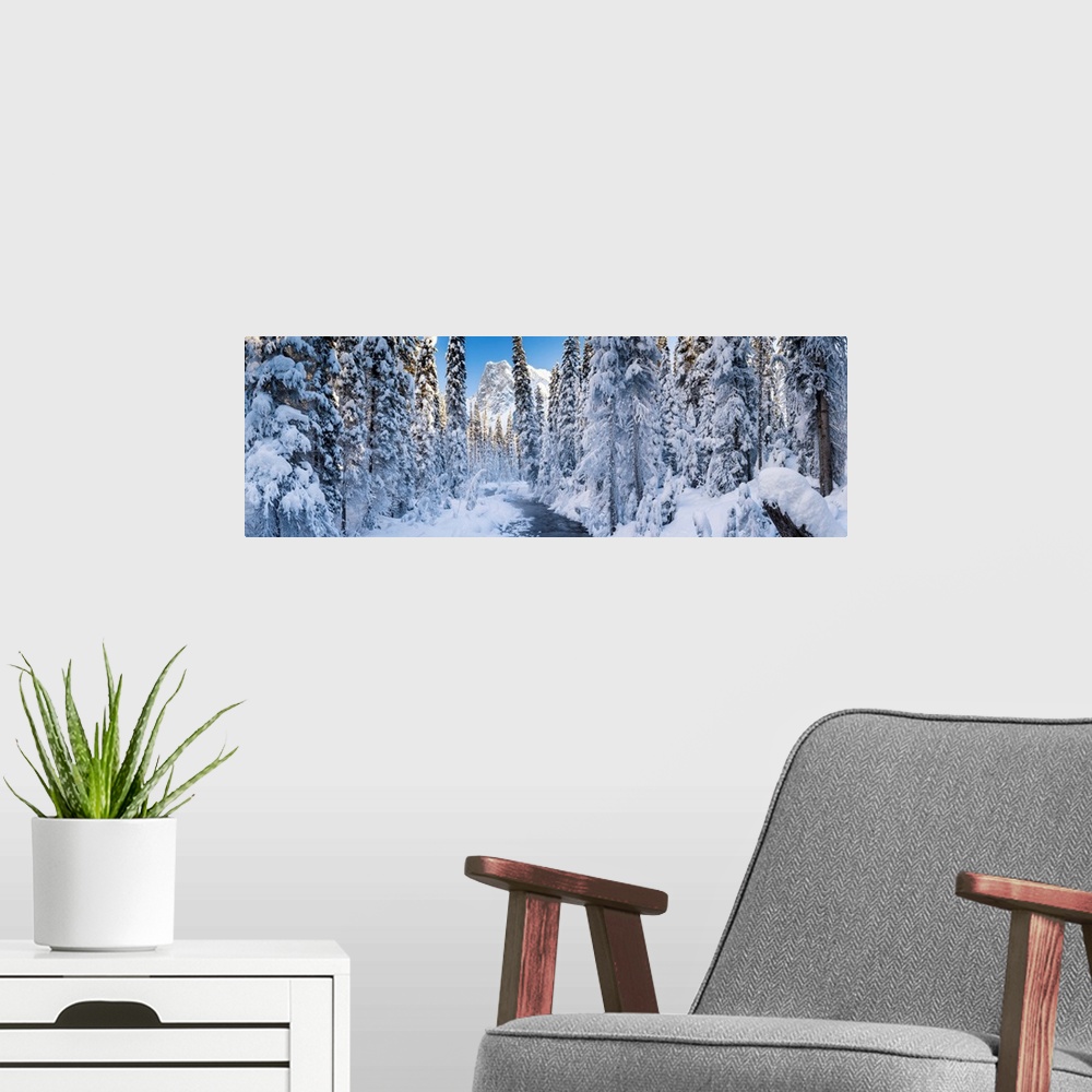 A modern room featuring Mt. Burgess And Snow-Covered Pine Trees, Yoho National Park, British Columbia, Canada