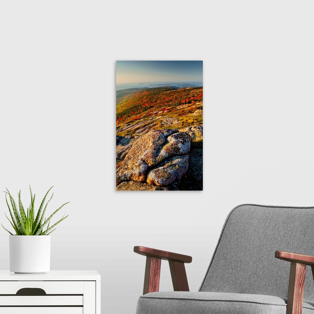 A modern room featuring Mt. Cadillac In Autumn, Acadia National Park, Maine, USA