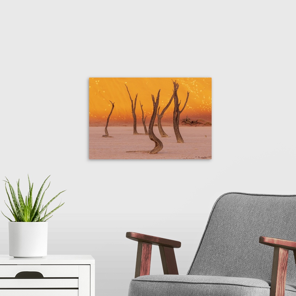 A modern room featuring Namibia, Namib Naukluft National Park, Sossussvlei, Deadvlei Clay Pan