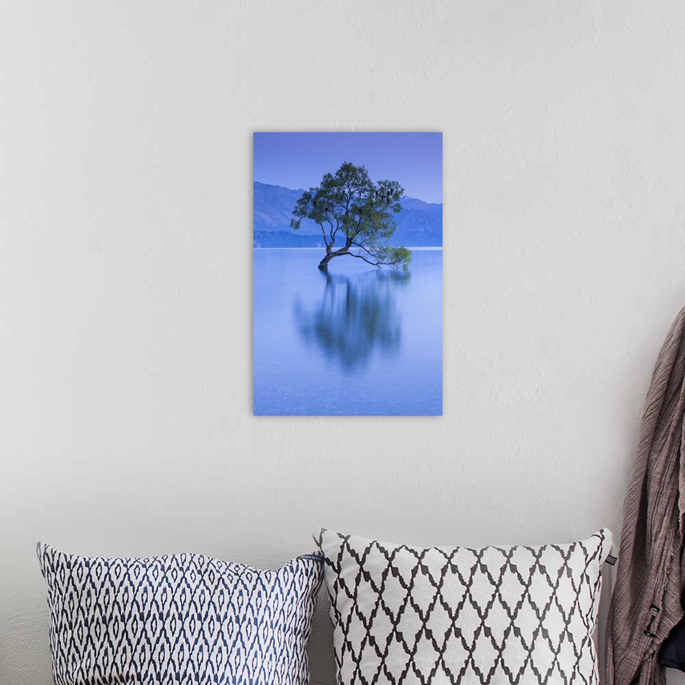 A bohemian room featuring New Zealand, South Island, Otago, Wanaka, Lake Wanaka, solitary tree, dawn.