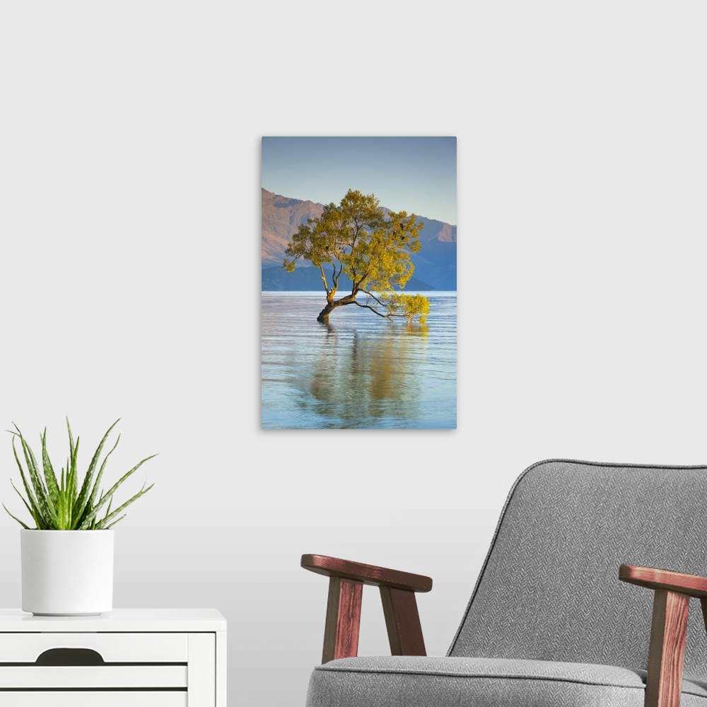 A modern room featuring New Zealand, South Island, Otago, Wanaka, Lake Wanaka, solitary tree, dawn.