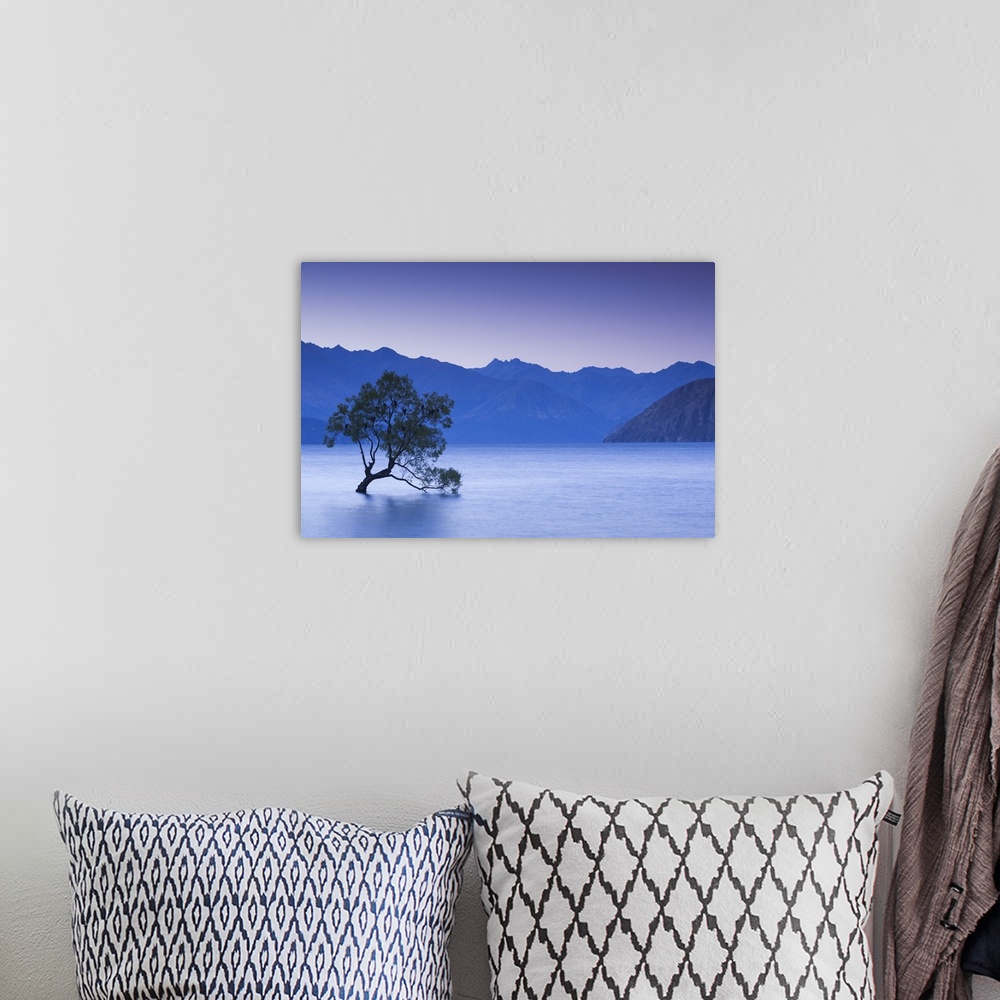 A bohemian room featuring New Zealand, South Island, Otago, Wanaka, Lake Wanaka, solitary tree, dusk.