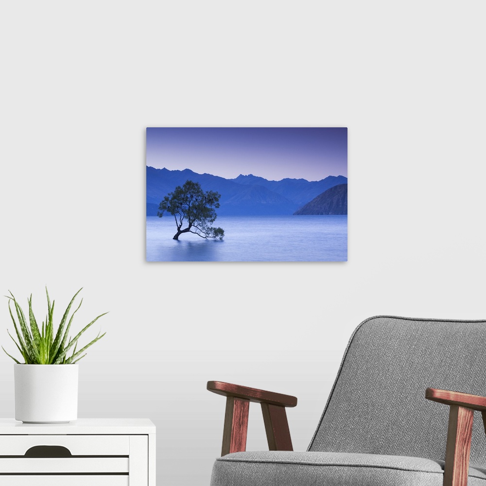 A modern room featuring New Zealand, South Island, Otago, Wanaka, Lake Wanaka, solitary tree, dusk.