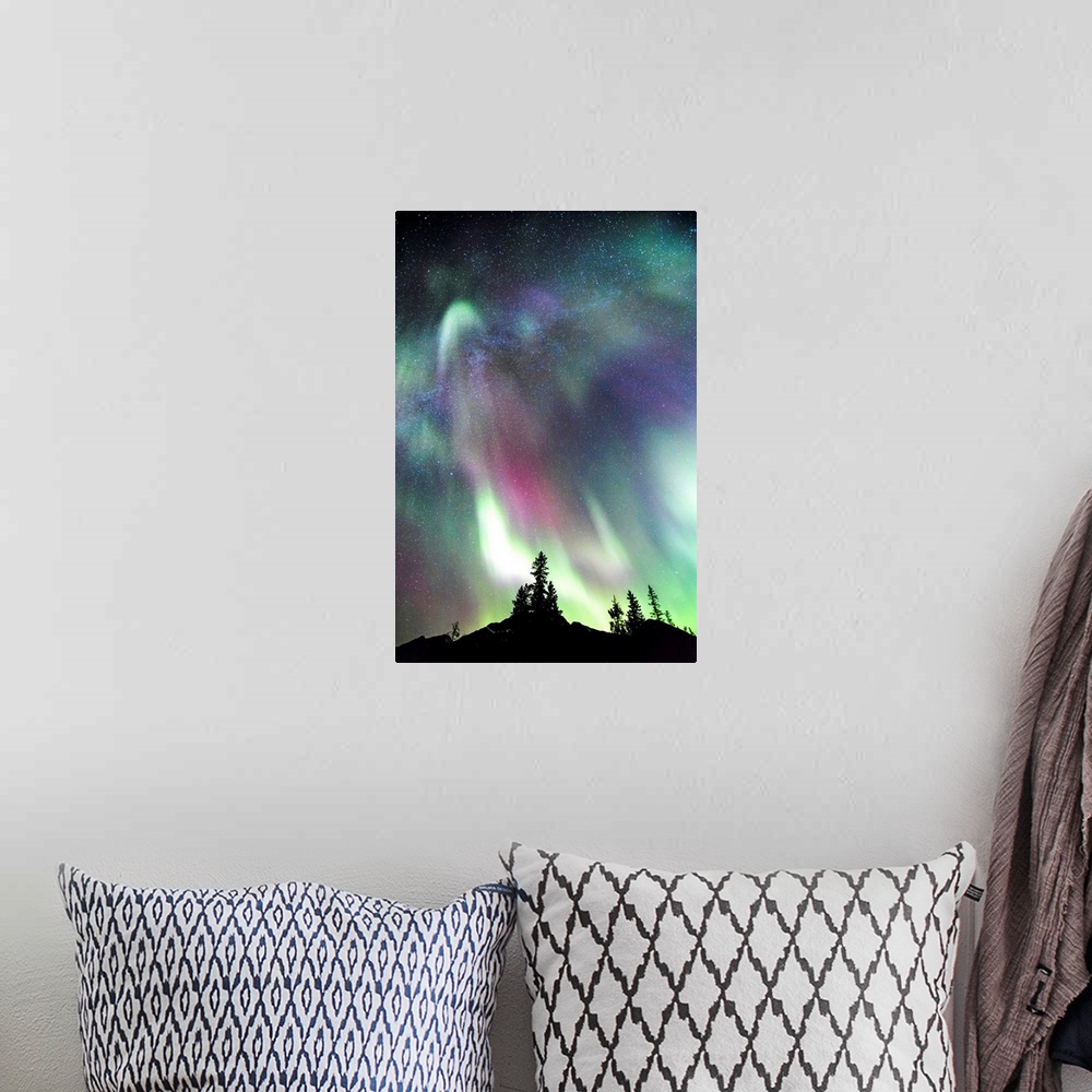 A bohemian room featuring Northern Lights (Aurora Borealis), Jasper National Park, Alberta, Canada